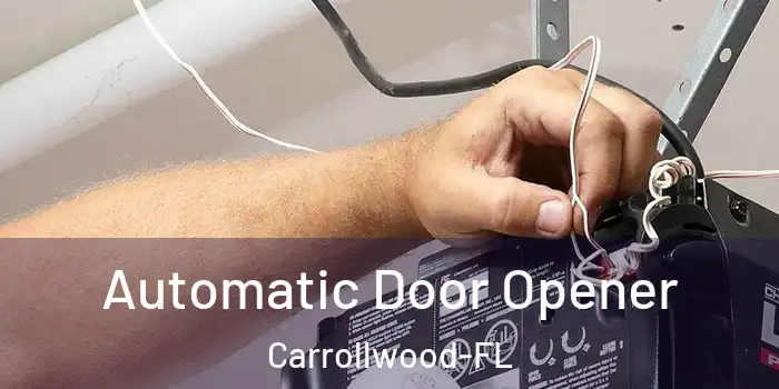 Automatic Door Opener Carrollwood-FL