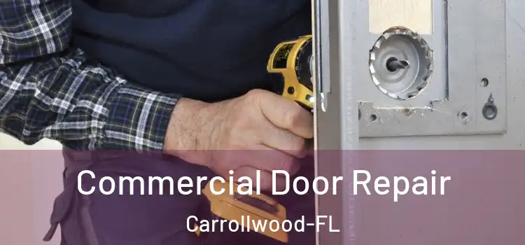 Commercial Door Repair Carrollwood-FL