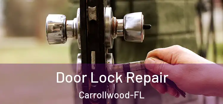  Door Lock Repair Carrollwood-FL