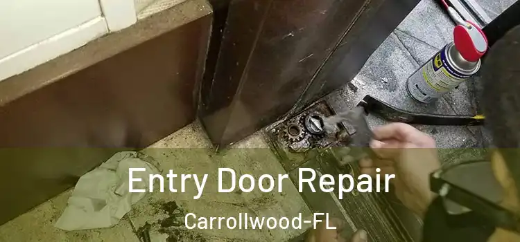 Entry Door Repair Carrollwood-FL