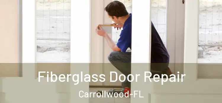 Fiberglass Door Repair Carrollwood-FL