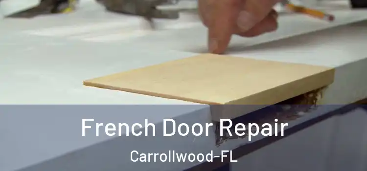  French Door Repair Carrollwood-FL