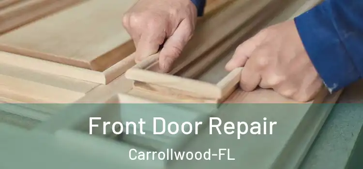  Front Door Repair Carrollwood-FL