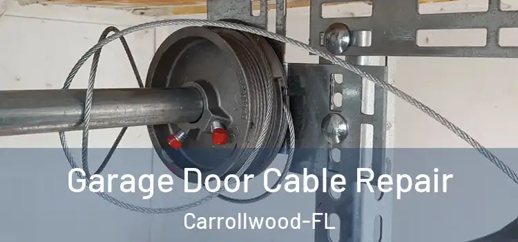 Garage Door Cable Repair Carrollwood-FL