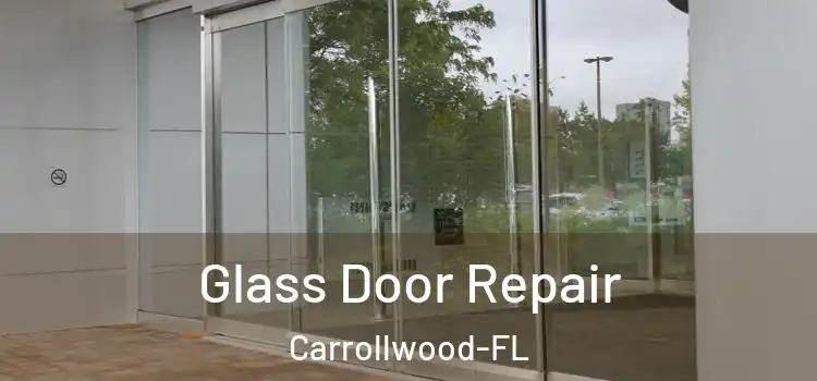 Glass Door Repair Carrollwood-FL