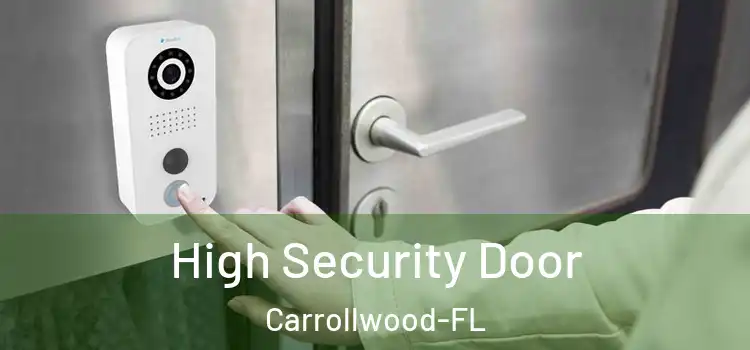 High Security Door Carrollwood-FL