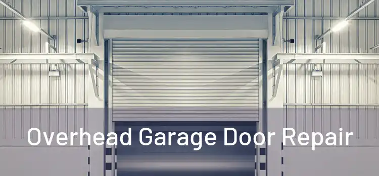  Overhead Garage Door Repair 