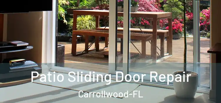 Patio Sliding Door Repair Carrollwood-FL