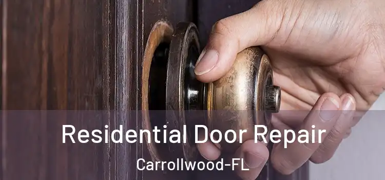 Residential Door Repair Carrollwood-FL