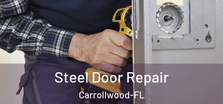 Steel Door Repair Carrollwood-FL