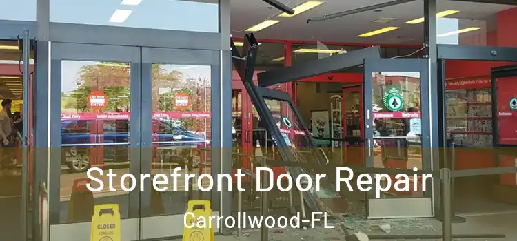 Storefront Door Repair Carrollwood-FL