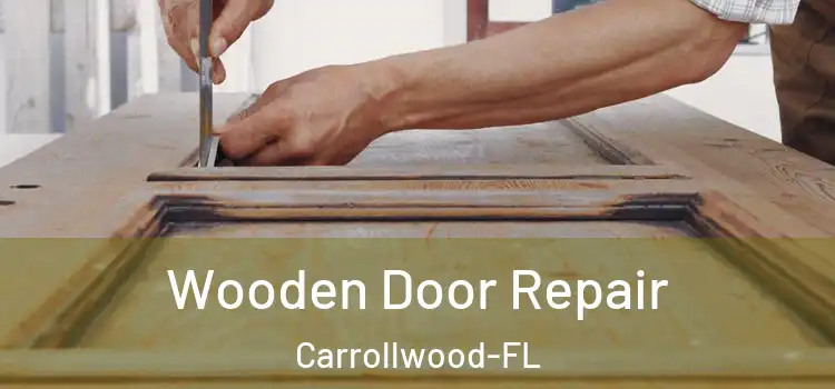 Wooden Door Repair Carrollwood-FL